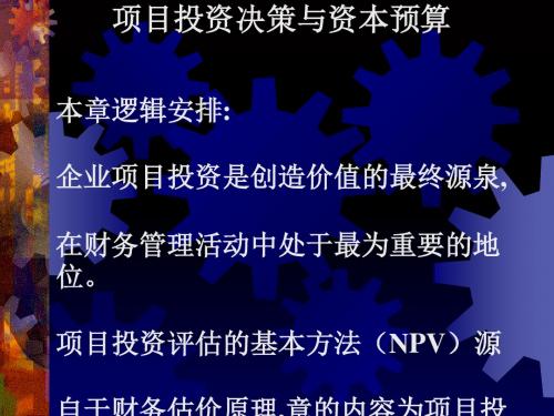 项目投资决策与资本预算概述(PPT 44张)