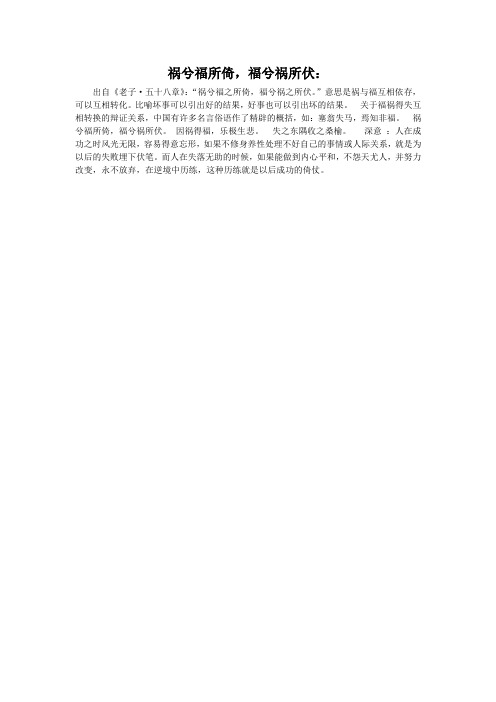 祸兮福所倚