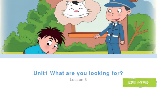 Unit1 What are you looking for_Lesson3(课件)北京版英语六下