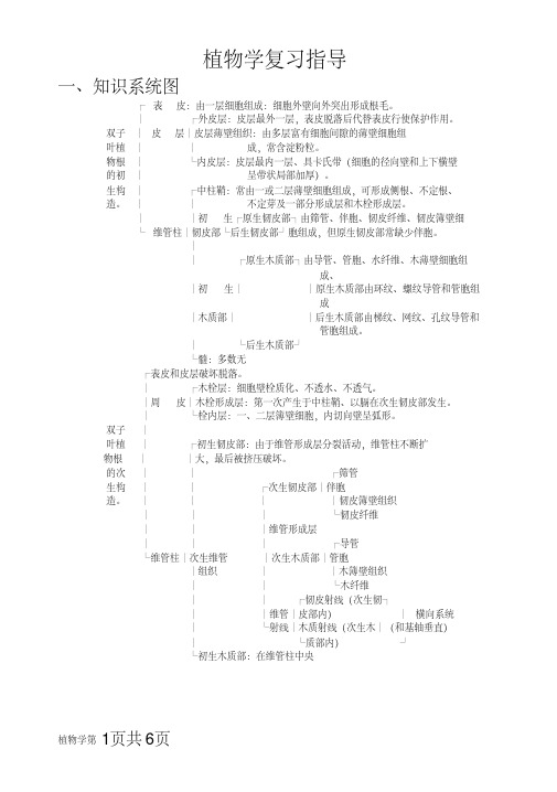 (完整版)植物生物学系统图