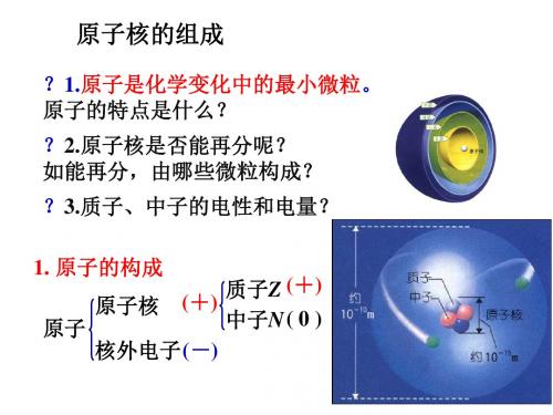 原子核的组成