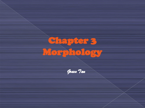 Chapter 3 Morphology