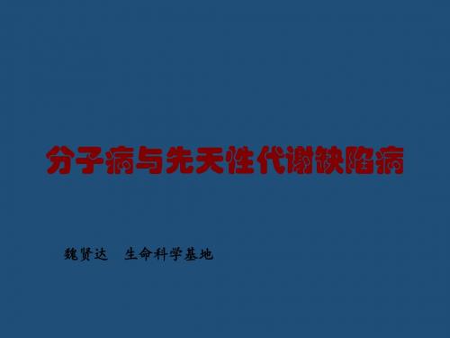 分子病与先天性代谢缺陷病PPT课件