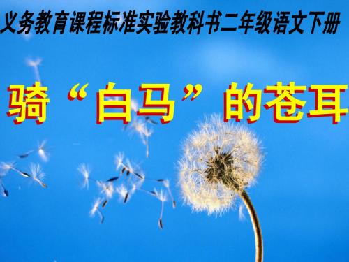 骑“白马”的苍耳--