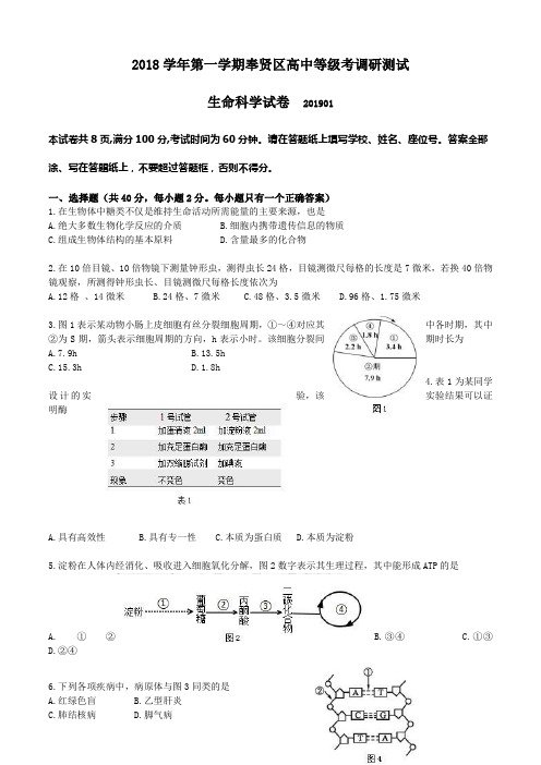 上海市奉贤区2018学年第一学期高中生命科学等级考调研测试含答案