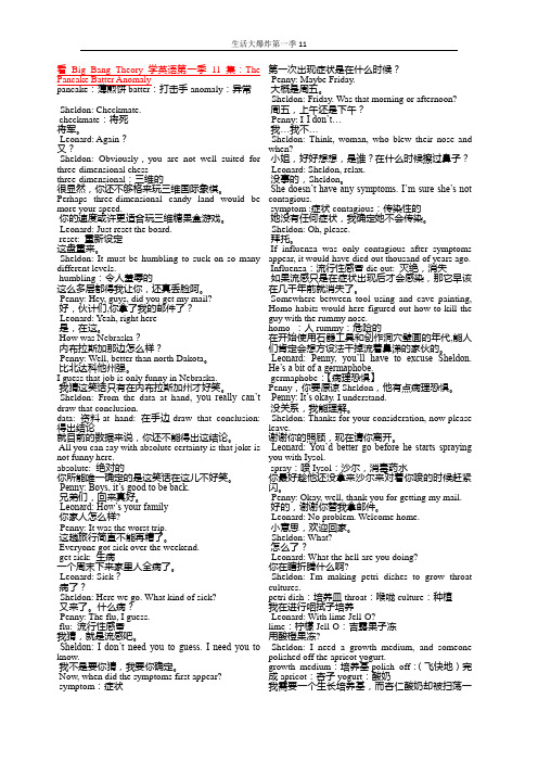 精心整理分析的生活大爆炸剧本解析.第11集