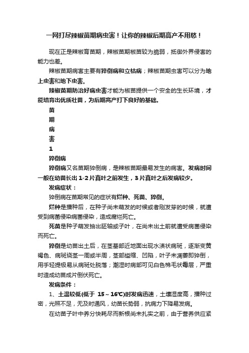 一网打尽辣椒苗期病虫害！让你的辣椒后期高产不用愁！