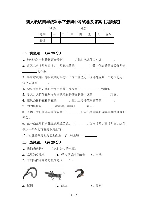 新人教版四年级科学下册期中考试卷及答案【完美版】