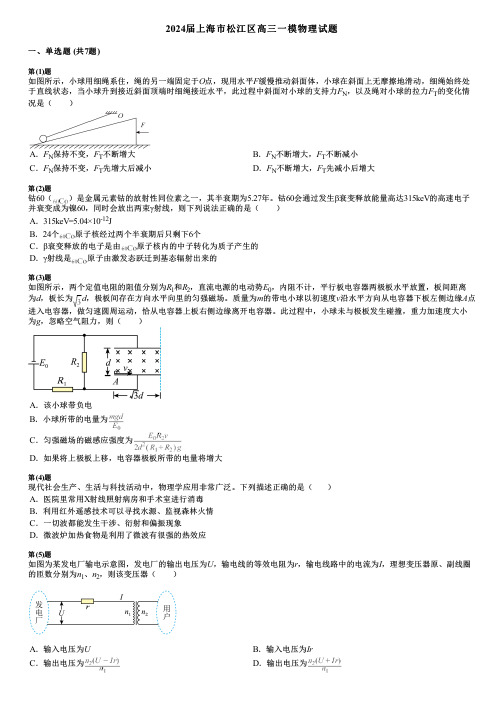 2024届上海市松江区高三一模物理试题