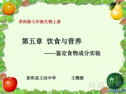 鉴定食物的主要成分 (1)