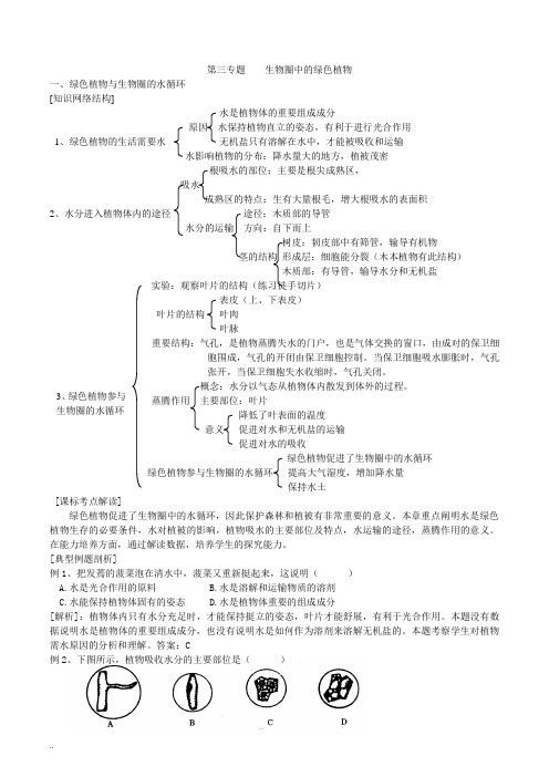 初中生物生物圈中的绿色植物知识点、习题及答案