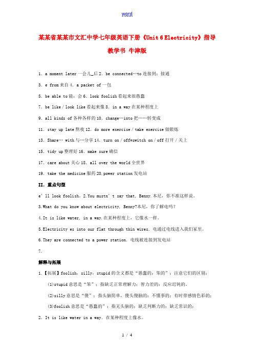 广东省深圳市文汇中学七年级英语下册《Unit 6 Electricity》指导教学书 牛津版