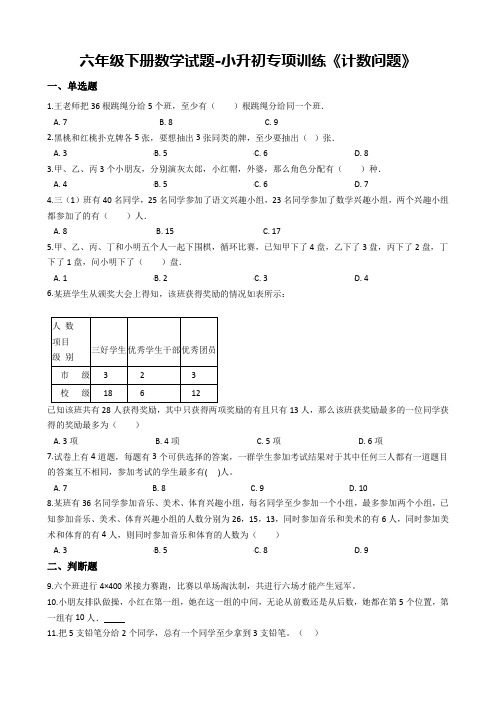 人教版六年级下册数学期末试题-小升初专项训练《计数问题》 (含答案)