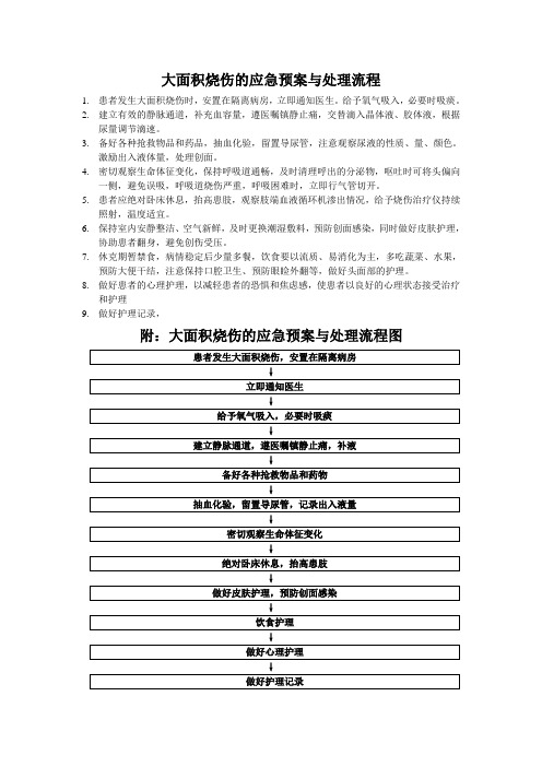 大面积烧伤的应急于是与处理流程