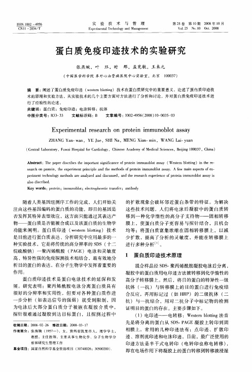 蛋白质免疫印迹技术的实验研究