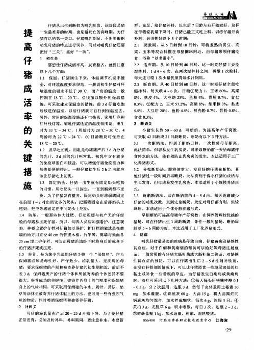 提高仔猪成活率的关键措施