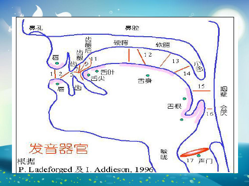 普通话鼻韵母的发音课件