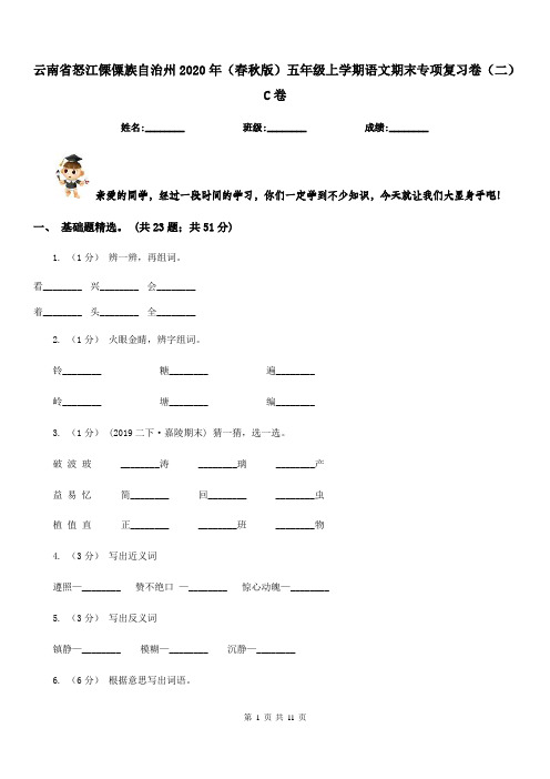 云南省怒江傈僳族自治州2020年(春秋版)五年级上学期语文期末专项复习卷(二)C卷