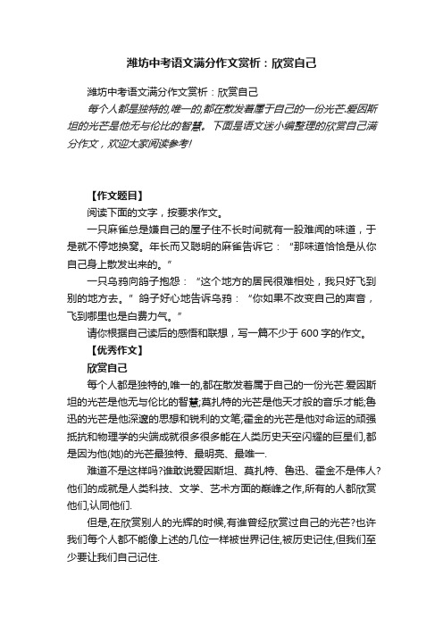 潍坊中考语文满分作文赏析：欣赏自己