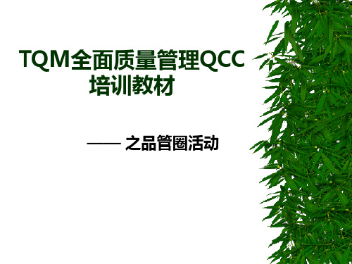 TQM全面质量管理QCC培训教材 ppt课件