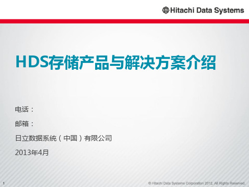 日立HDS存储解决方案简介