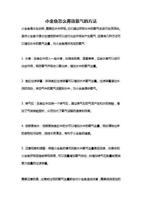 小金鱼怎么养造氧气的方法