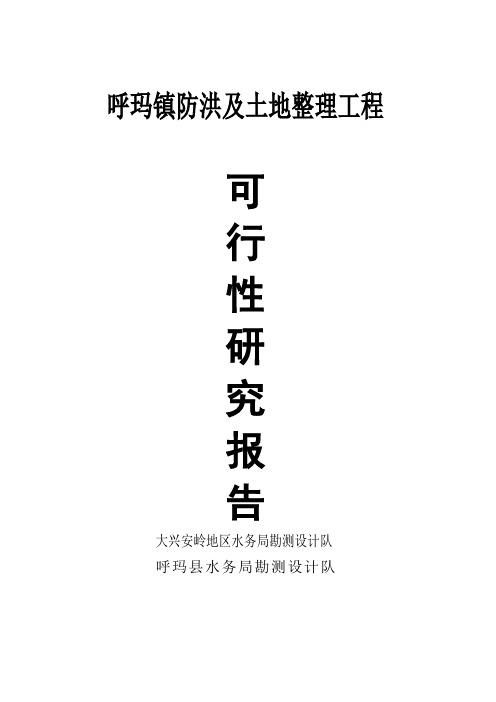 呼玛镇防洪及土地整理工程可行性研究报告