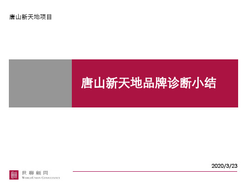 世联_唐山新天地项目品牌诊断报告_80页_XXXX年