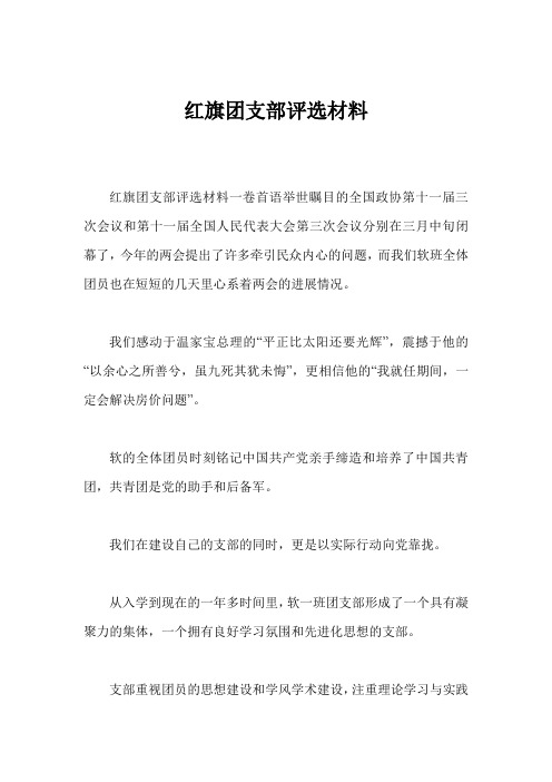 红旗团支部评选材料