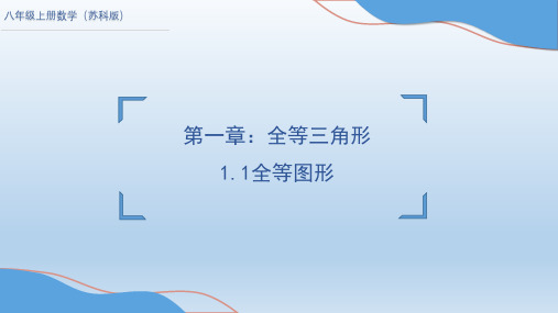 苏科版数学八年级上册1.1全等图形课件