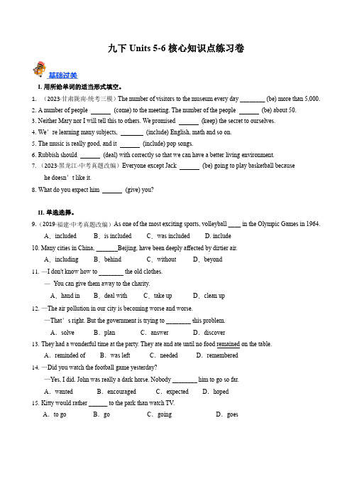 九下Units 5-6(核心知识点综合检测)-备战2024年中考英语一轮复习考点帮(仁爱版)