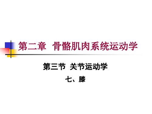 第二章 第三节 关节运动学(七、膝)肌肉和神经支配