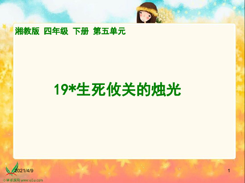 湘教版四年级下册《生死攸关的烛光》PPT课件