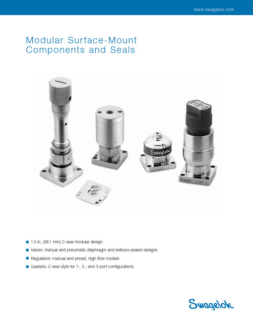 斯威格洛克表面安装组件和密封件说明书
