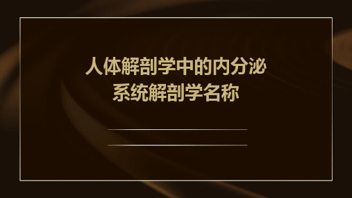 人体解剖学中的内分泌系统解剖学名称