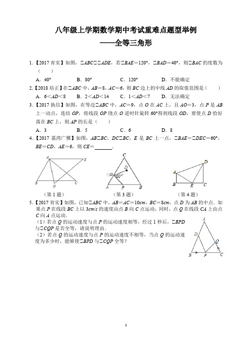 八年级上学期数学期中考试重难点题型举例——全等三角形