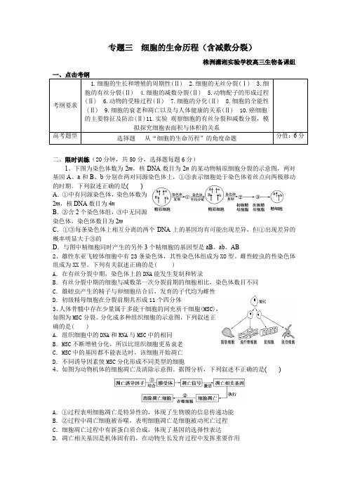 专题三  细胞的生命历程 附答案