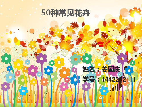 50种常见花卉