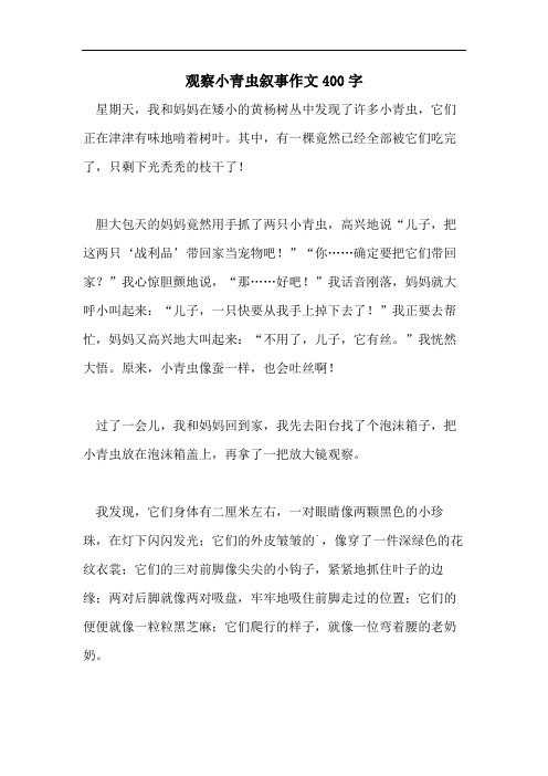 观察小青虫叙事作文400字