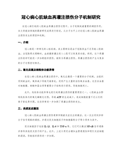 冠心病心肌缺血再灌注损伤分子机制研究