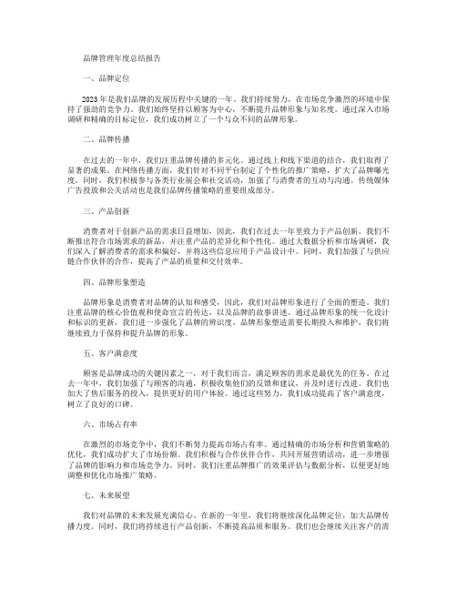 品牌管理年度总结报告