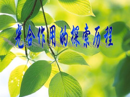 光合作用的探究历程