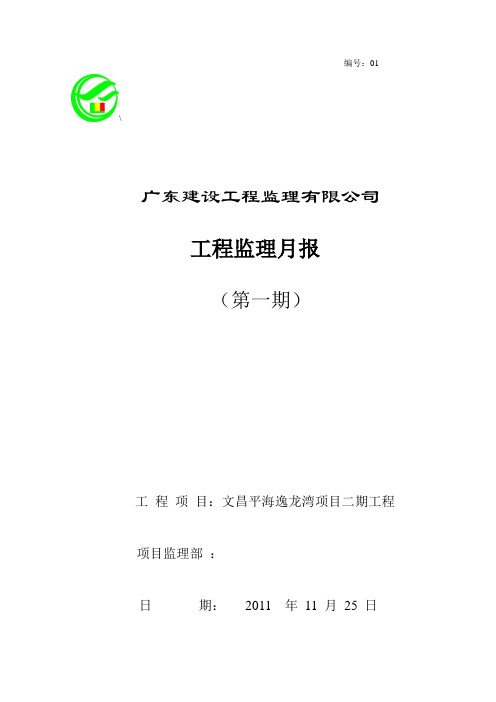 2019年监理公司月报范本(WORD档)P15.doc