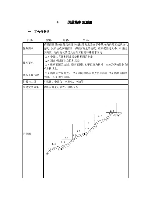 水利工程测量 渠道横断面测量 任务单