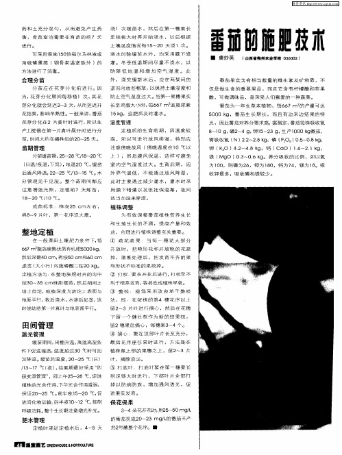 番茄的施肥技术