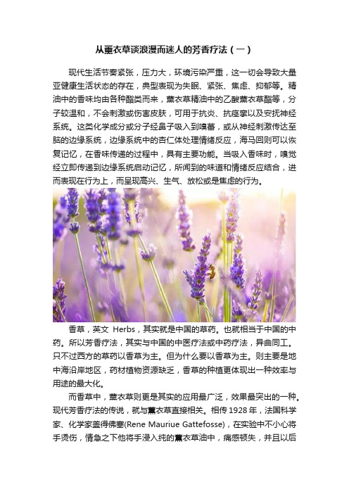 从薰衣草谈浪漫而迷人的芳香疗法（一）