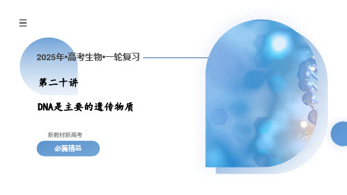 第20讲DNA是主要的遗传物质(课件)-2025年高考生物一轮复习