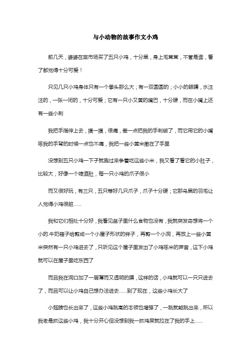 与小动物的故事作文小鸡