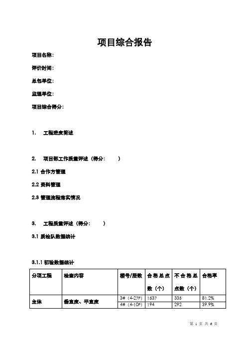 项目综合报告模板