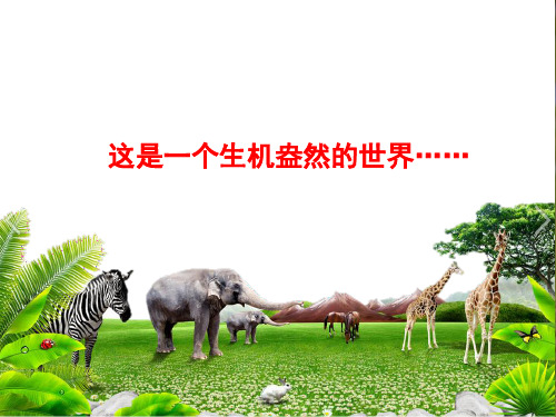 人教版八年级生物上册 5.3动物在生物圈中的作用